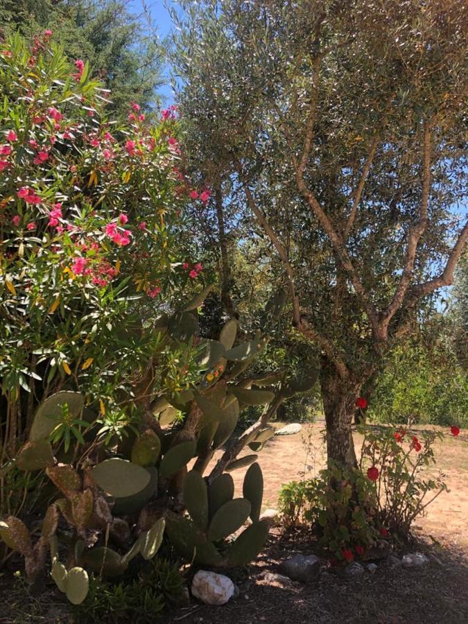 Redondo Lodges Junceira Dış mekan fotoğraf