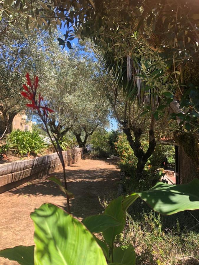 Redondo Lodges Junceira Dış mekan fotoğraf
