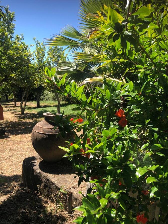 Redondo Lodges Junceira Dış mekan fotoğraf