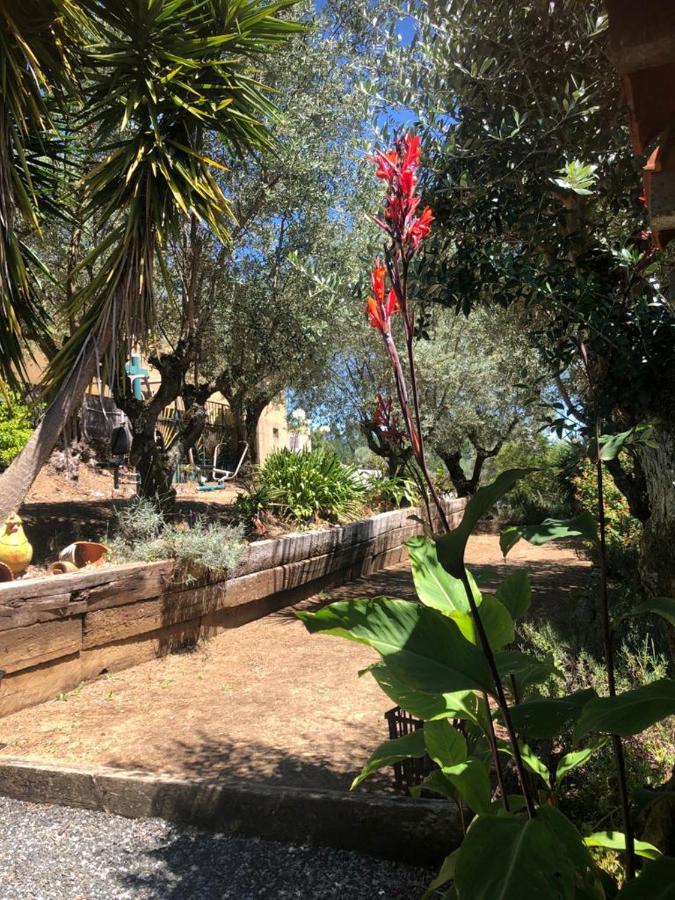Redondo Lodges Junceira Dış mekan fotoğraf