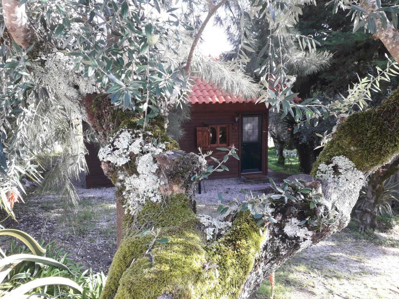 Redondo Lodges Junceira Dış mekan fotoğraf
